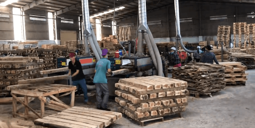 原木多片鋸生產(chǎn)線(xiàn)，越南????客戶(hù)使用現(xiàn)