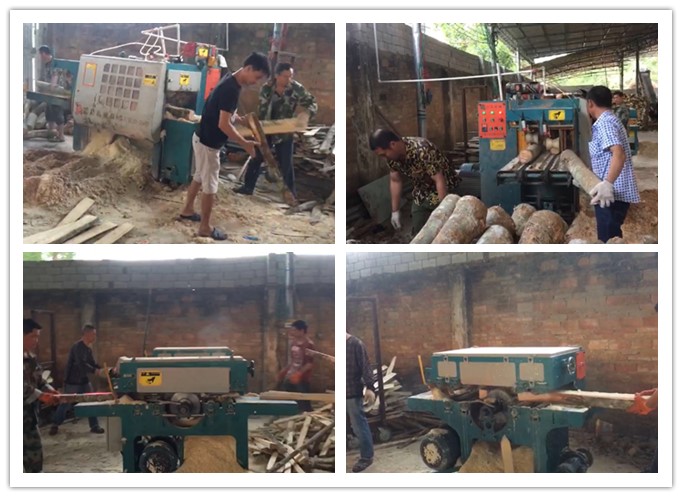 南海三亞--雙排鏈原木多片鋸、簡易板式多片鋸工作圖