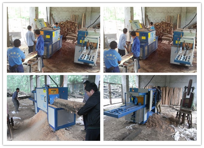 湖南岳陽--原木多片鋸、方木多片鋸工作圖