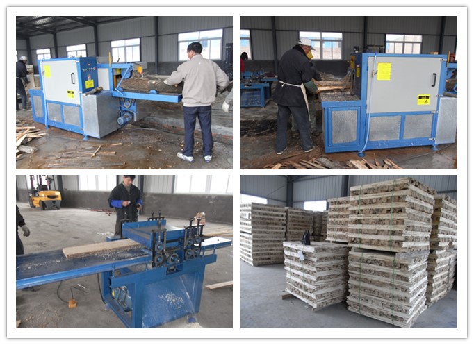 江蘇淮安市楚洲--原木、方木多片鋸、清邊機(jī)工作圖