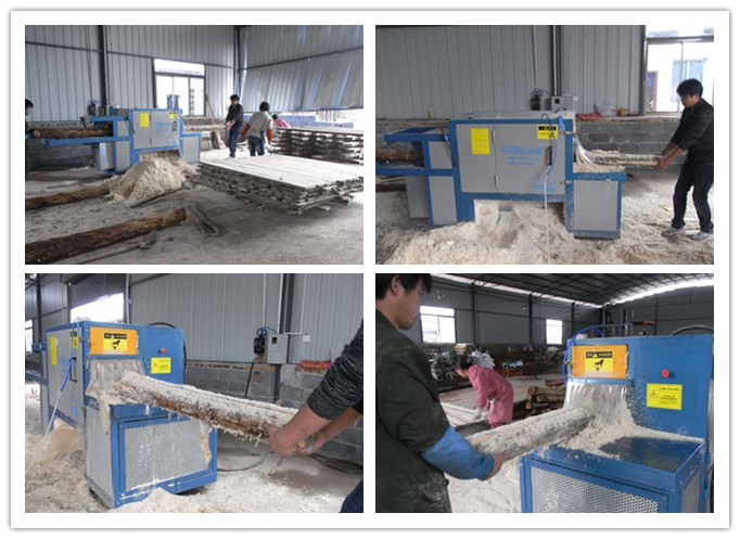 湖南衡陽(yáng)--原木多片鋸工作圖