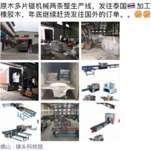 發(fā)往泰國(guó)客戶的400機(jī)型-250型原木多片鋸生產(chǎn)線專(zhuān)柜