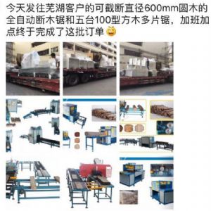 發(fā)往國(guó)內(nèi)客戶的原木多片鋸生產(chǎn)線專(zhuān)柜