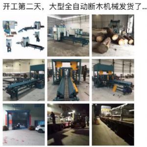 2017年發(fā)貨國內(nèi)250型原木斷木機(jī)生產(chǎn)線&nbsp;圓木截木機(jī)，鋸木機(jī)生