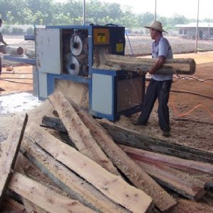 海南島-圓木多片鋸25加工現(xiàn)場