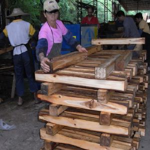 廣東省-惠州方木多片鋸150高加工現(xiàn)場1