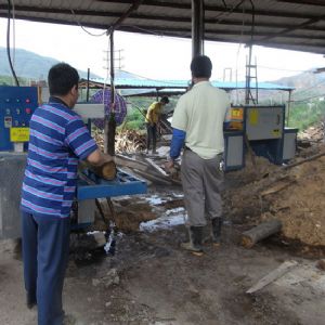 廣東省韶關(guān)市馬壩-圓木多片鋸250-加工現(xiàn)場