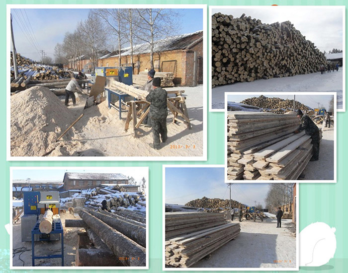 產(chǎn)品名稱(chēng)：黑龍江伊春新青區(qū)-鋸洛葉松-350原木多片鋸-加工現(xiàn)