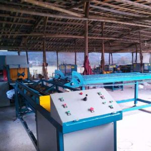 全自動(dòng)原木多片鋸生產(chǎn)線在斯里蘭卡客戶現(xiàn)場